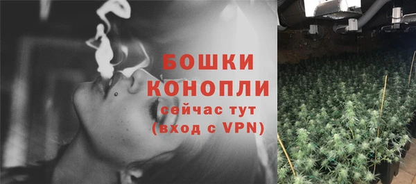 дмт Белокуриха