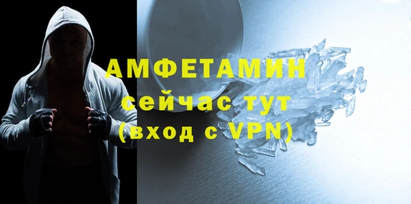 шишки Белоозёрский