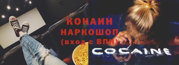 шишки Белоозёрский