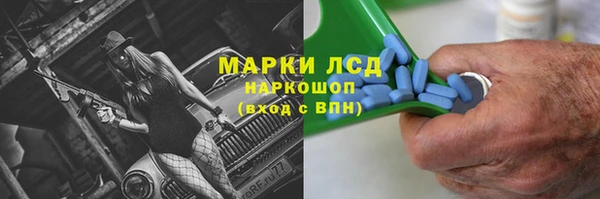 шишки Белоозёрский