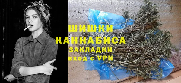 шишки Белоозёрский