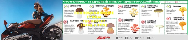 дмт Белокуриха