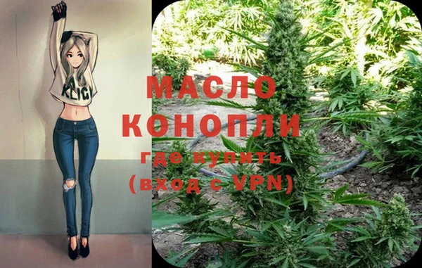 дмт Белокуриха