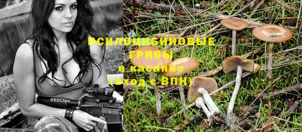 шишки Белоозёрский