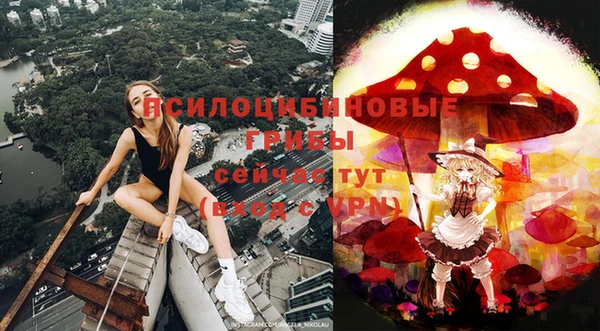 шишки Белоозёрский