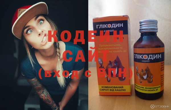 шишки Белоозёрский